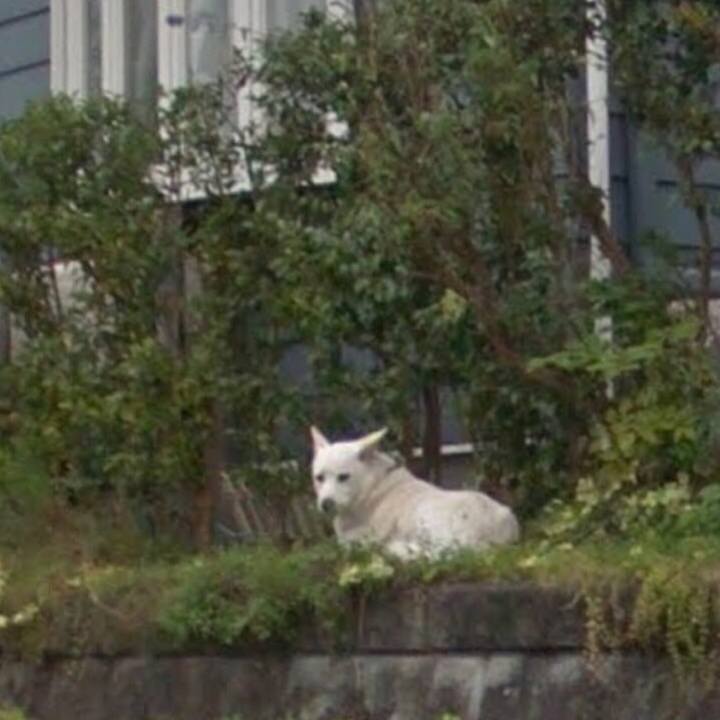 6c9a8365 dd66 4b60 bfba a8620861a2c9