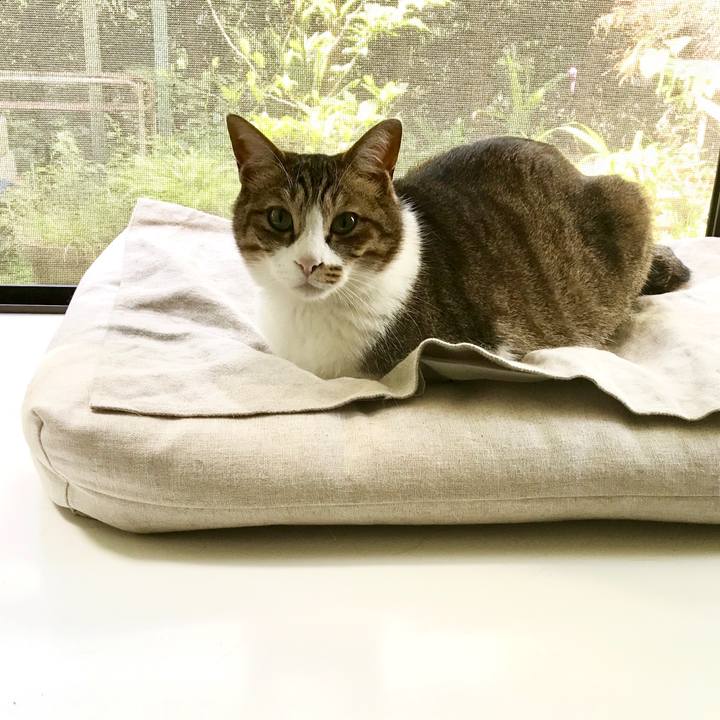 6c9abd59 3bfc 4a6c ab03 b27fa577a5a0