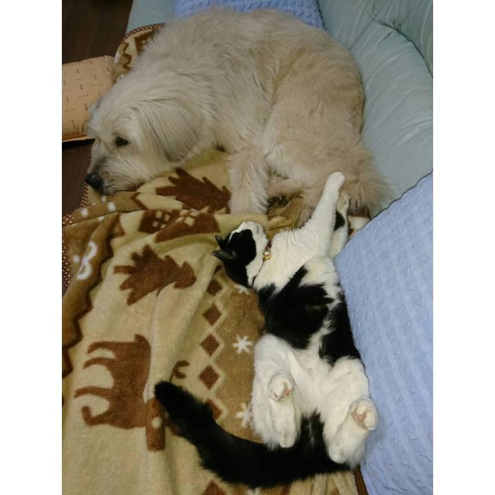 6c9b0bd9 1826 4d39 973c edbdc4eda9aa