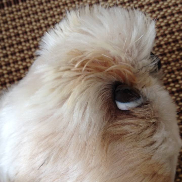 6c9b8ebe c3d9 4534 80dc d6aa0c53d9db