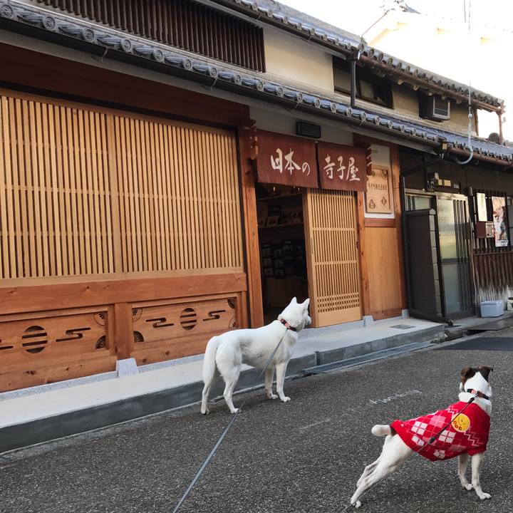 6c9c05dd e37b 4717 b3c7 15d76e885970