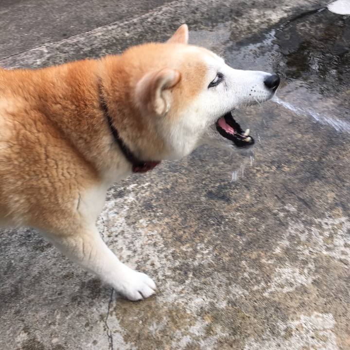 6c9c8369 a941 4c05 956e c81f87ad9ffe