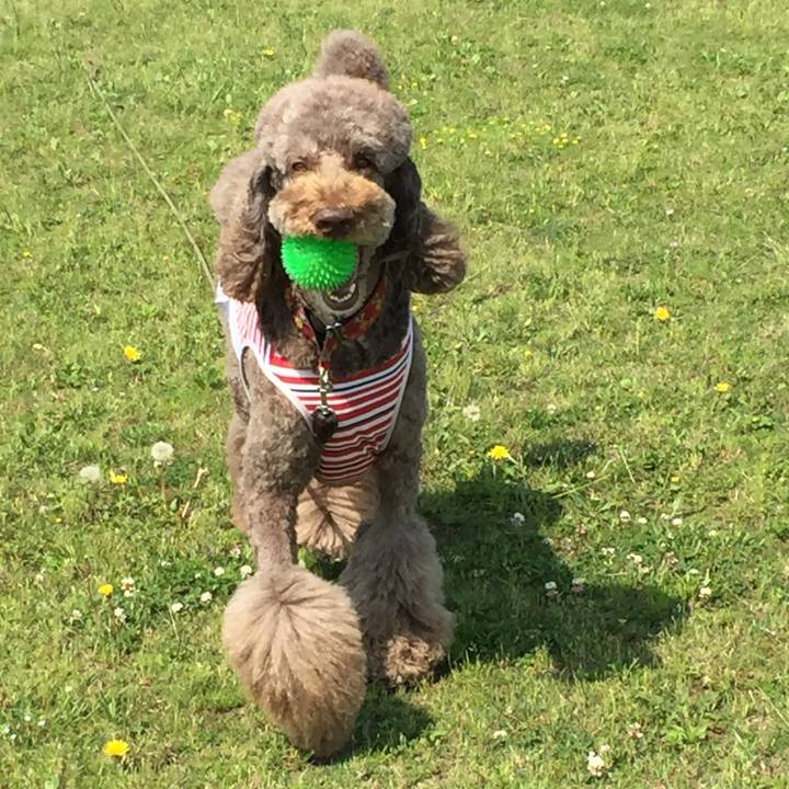 6c9d5d55 9f59 491e 961d ae6d64757a91