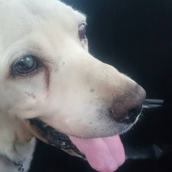 6c9d65fb d98d 4210 9031 08d720305d22