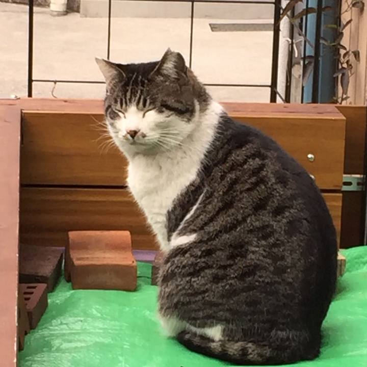 6c9d837b a0a9 42b2 9afb 7585ecd68acf