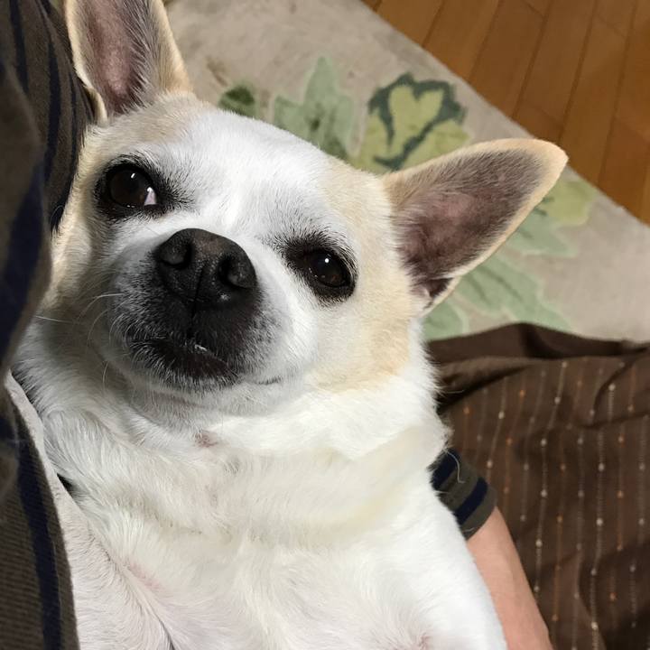 6c9dace3 0206 4015 bbee 3cb77d024dcc