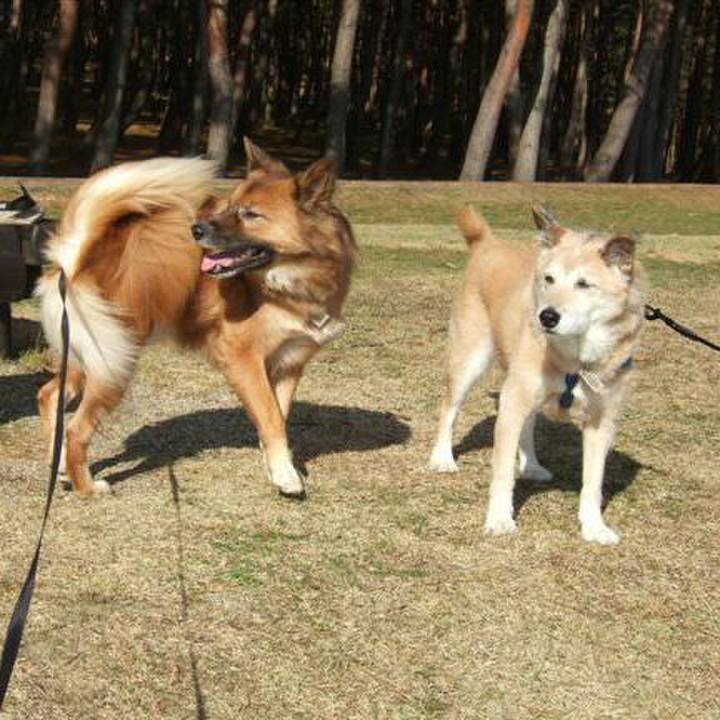 6c9df510 6f15 4108 bd74 fb22f995f360