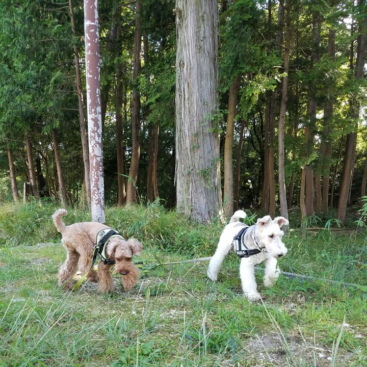 6c9e30b6 7ec3 4410 aa68 5fac605a47ff