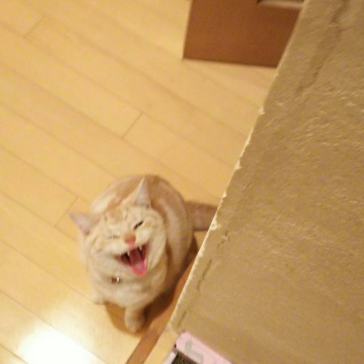 6c9e7442 8984 48be a5d5 78dac1ed2661