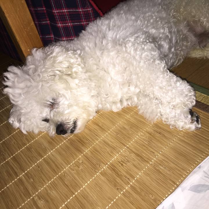 6c9e8a98 2e9f 46e7 be76 c3b36ad95e64