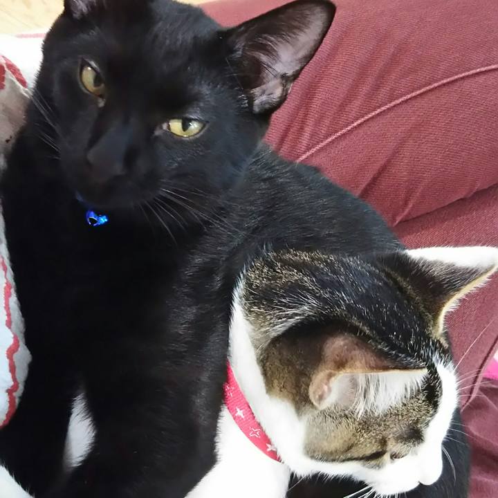 6c9e9acf 6736 42b7 a2d2 bc355bef929e