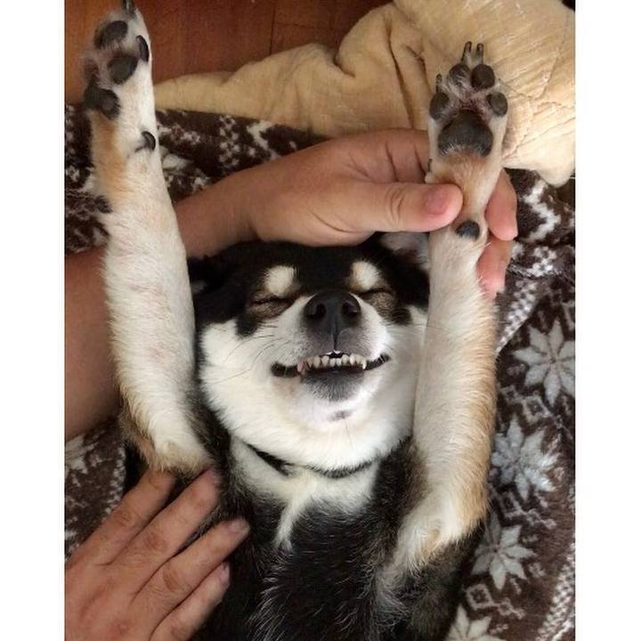 6c9e9da2 77a4 4fb5 a65d f1aac0cb258f