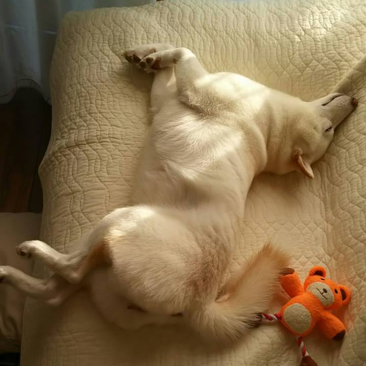 6c9eeeff 0c50 4628 a2d8 318b7157a838