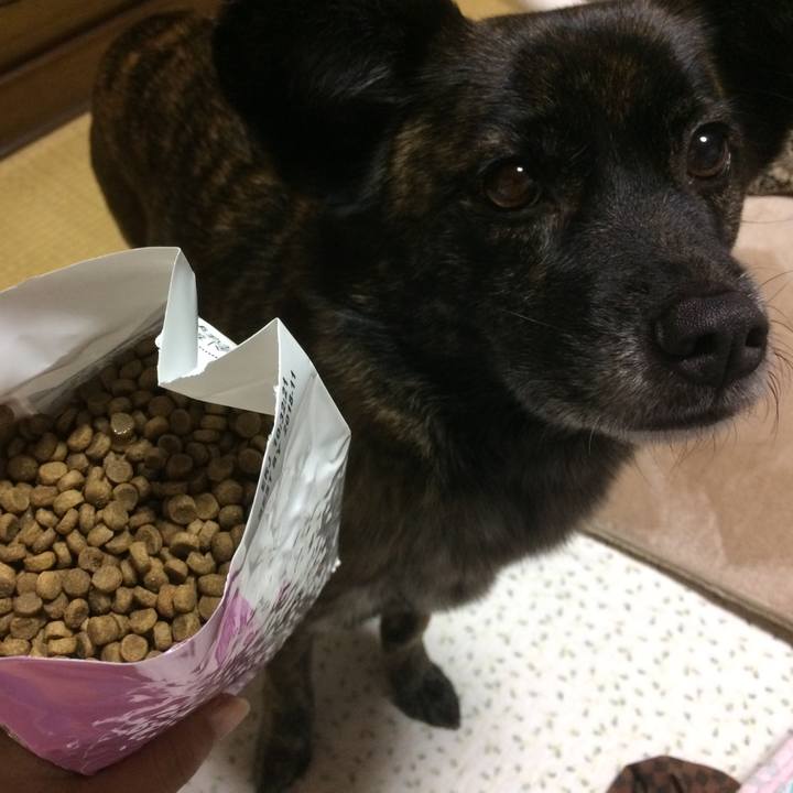 6ca0b4b5 ca84 4001 a47b d80c43721d0f