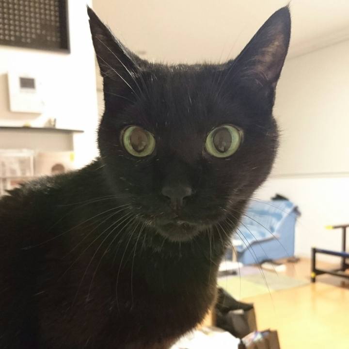 6ca121f4 0867 4aa8 aafa 6a8e6c51612e