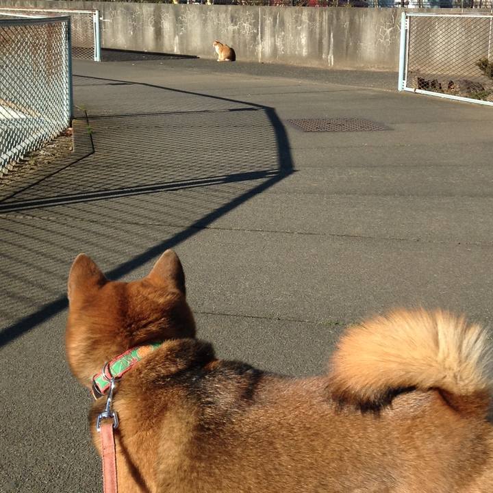 6ca1817d 6d46 4d77 823a ab824e382d65