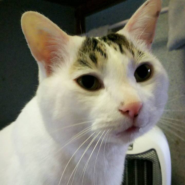 6ca18352 dad1 453f bc08 83706a7fbd76