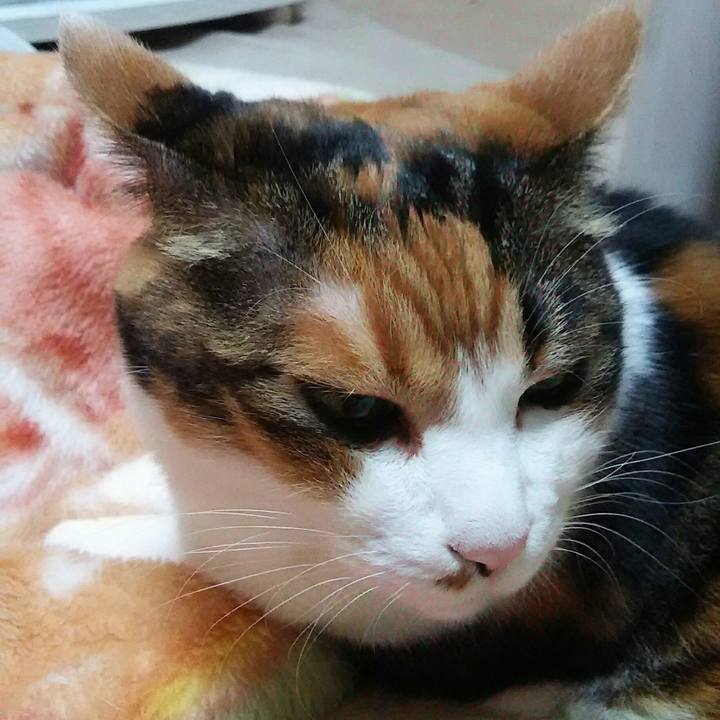 6ca1c25b 3c58 4bca 945e 178bd74023d1