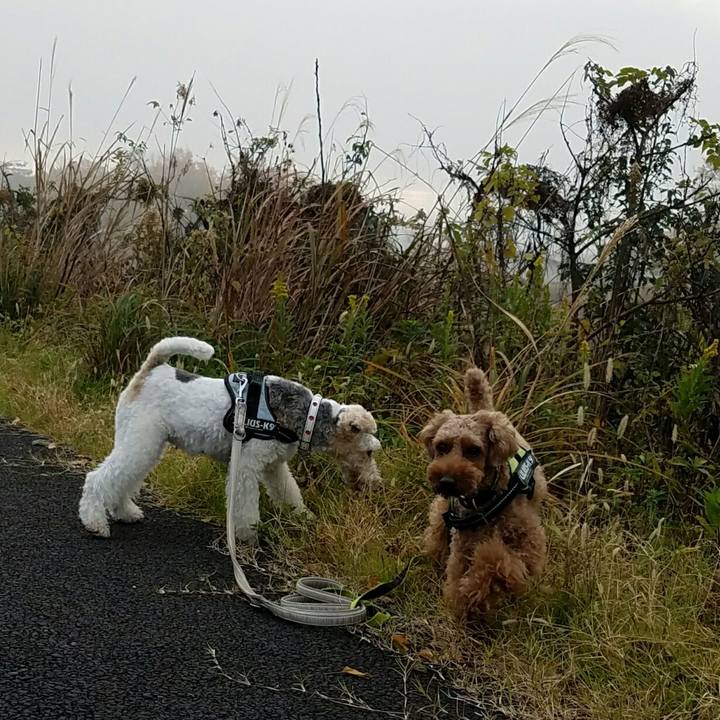 6ca1f46f 224f 4282 a163 896a83cd27a0