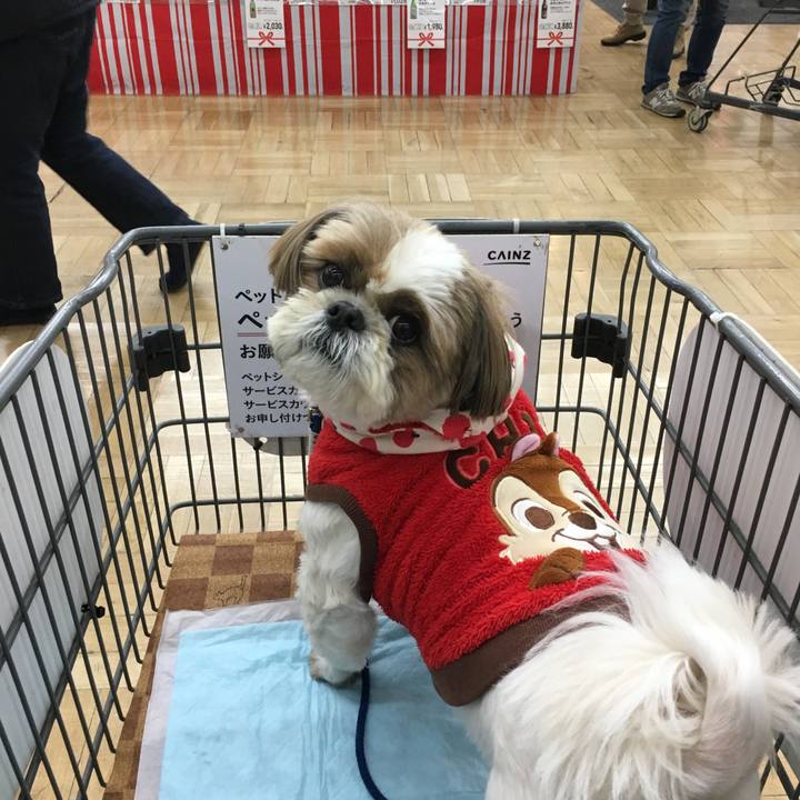 6ca2d09f 3fa3 40fe a8e5 ca066d375efa