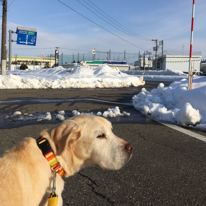 6ca31031 d693 4a1f 8a7e e71d67e54613