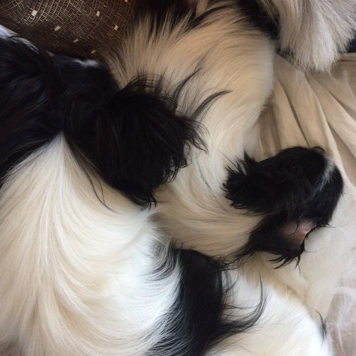 6ca34a50 bb46 4b69 8aef 5680207ac9ba