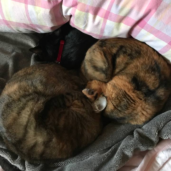 6ca3d2c9 47e8 4e9b 861b eed8253d13e5