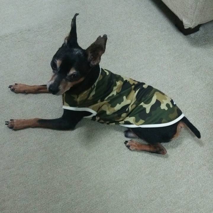 6ca3e532 a71e 4cb6 8dc5 2cd9b812a2e2