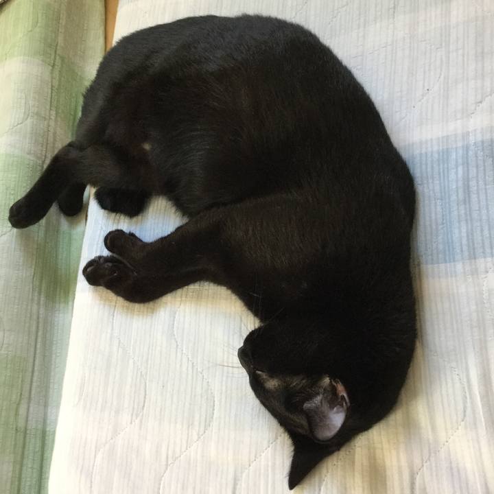 6ca4d550 ca02 4817 9487 5788d3968592