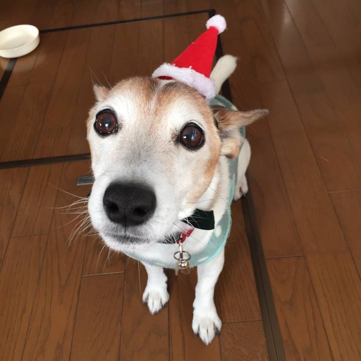 6ca506e9 f16f 4201 8d04 8734f8912141