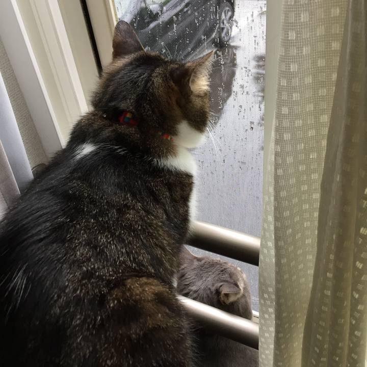 6ca56717 b001 47b6 a71a d38a00952bcc