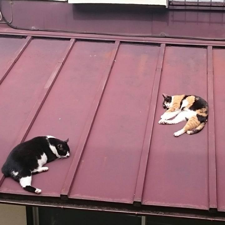 6ca646d1 9575 4638 9d26 0ad1879d7783