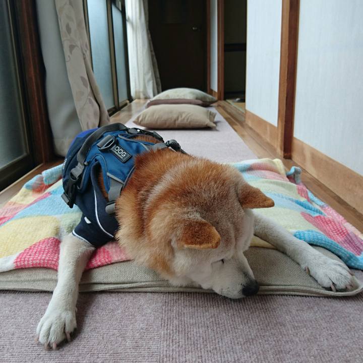 6ca647f7 2fb0 47d3 9674 7bdd8c34142e