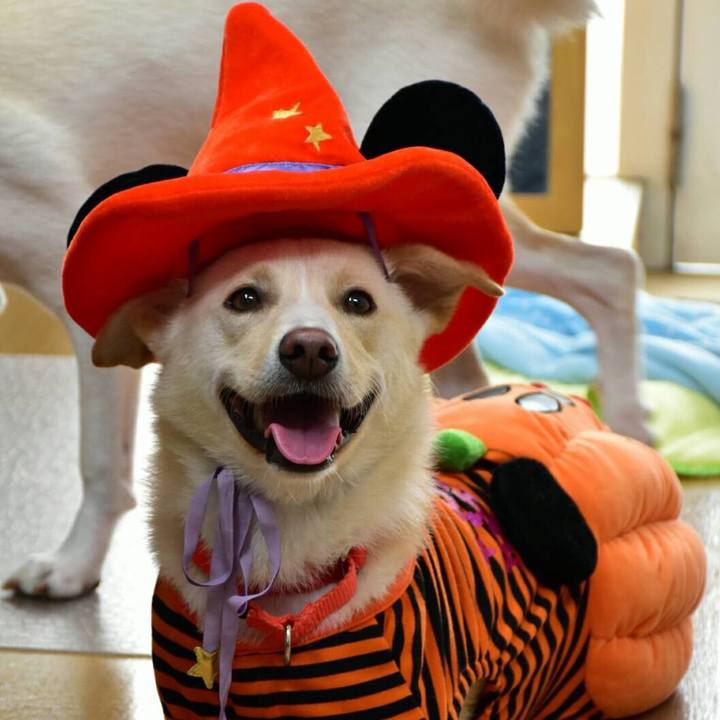 6ca6677d 29d0 4e8f b6ce a903b2a37eba