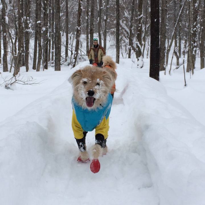 6ca690f0 55d0 47db a472 d5c4b258e397