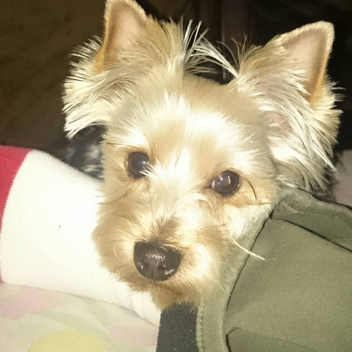 6ca6b89c 4447 4940 9d77 2a62d1dd9e50