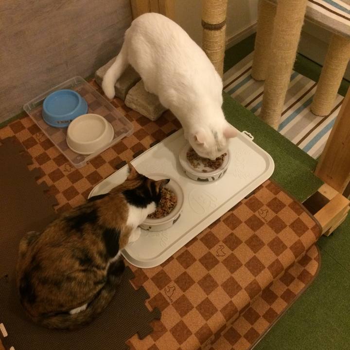 6ca6f1e7 9015 4ed9 8b25 e1014efcb6a9