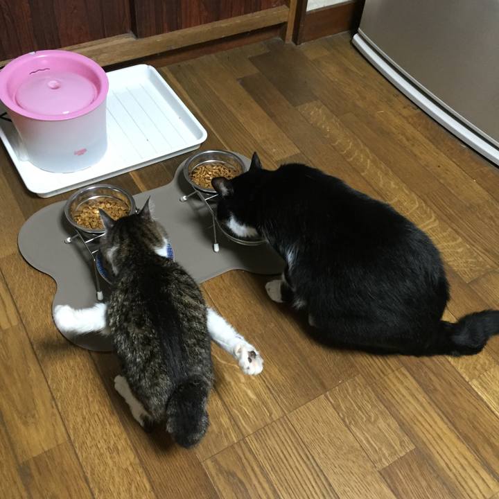 6ca71d1d fc54 438b 86d6 2982626da5d9