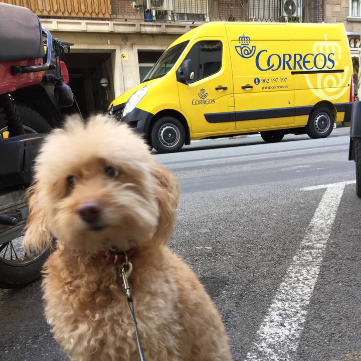 6ca75691 323a 4927 b96b e4efd8372225