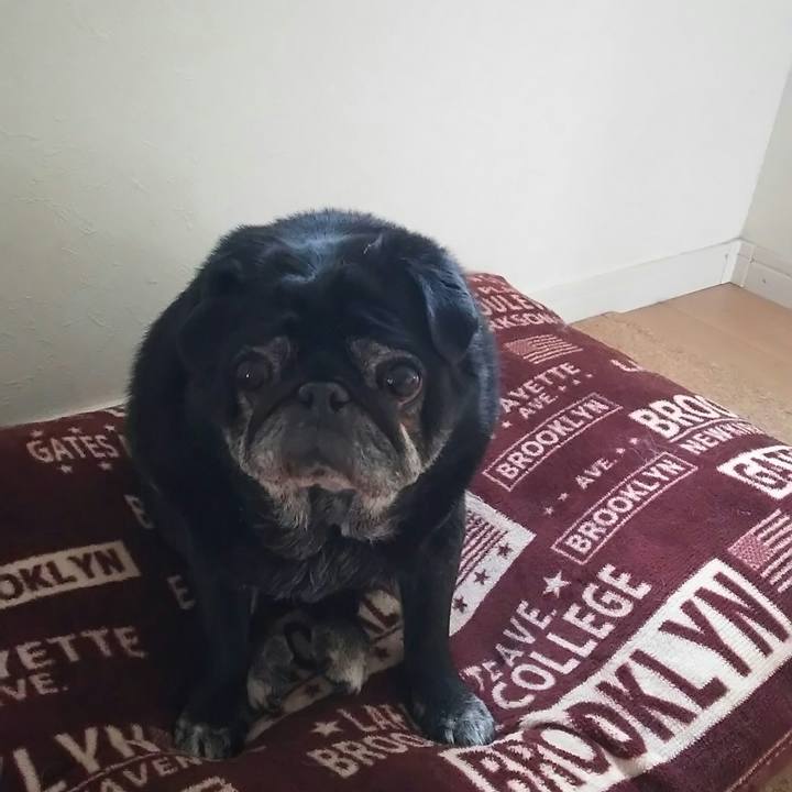 6ca87fc2 27a7 4462 8eaa 0509caf1a665