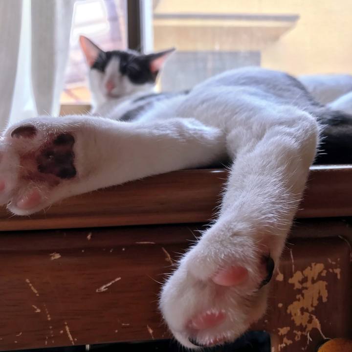 6ca89eb3 1936 4d3d bf45 54f5d34225ea