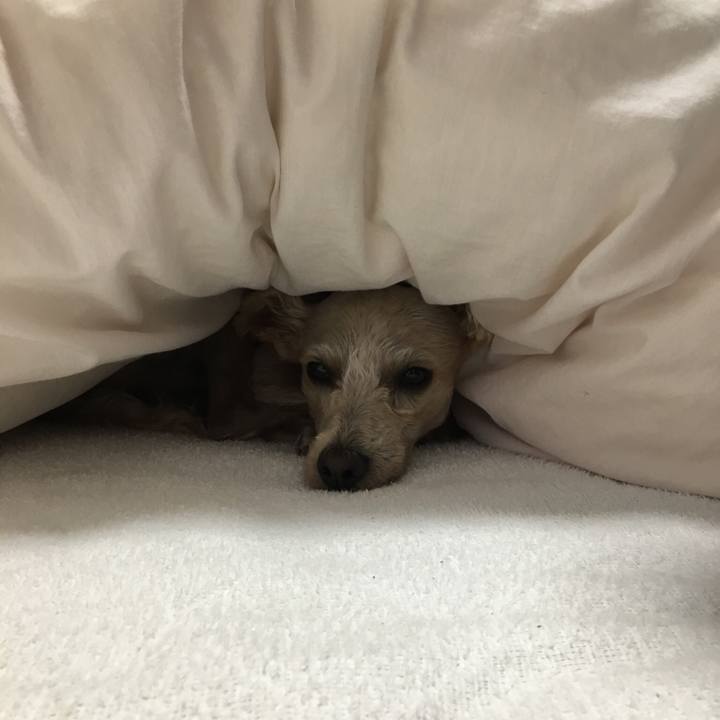 6ca95293 96e0 4a97 8f1a 423bd4f6d4f9