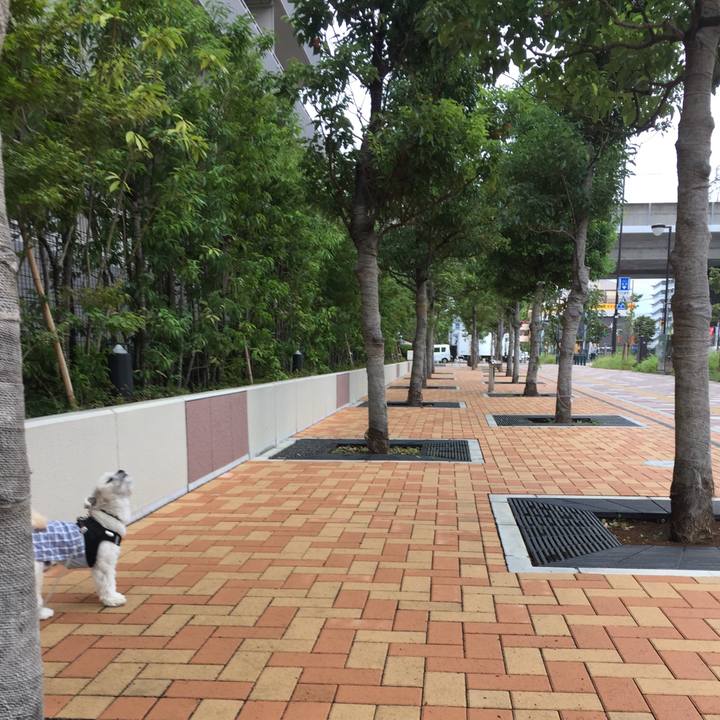 6ca9c453 d7d1 45a9 bf08 82cdf5c7b5e4