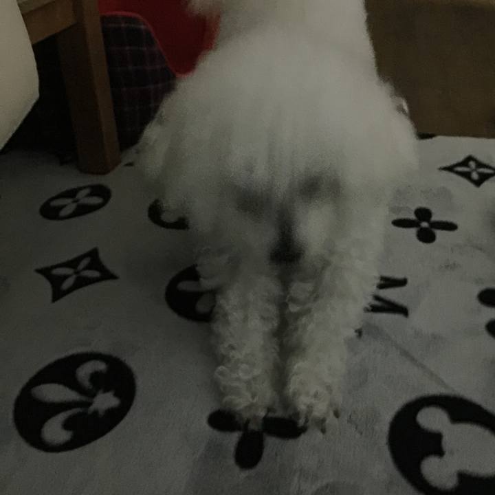 6cab414e 3b77 47ed a88a a680f8d10228