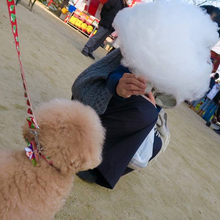 6cac10e0 9675 4af1 915f 25e5abec04e5