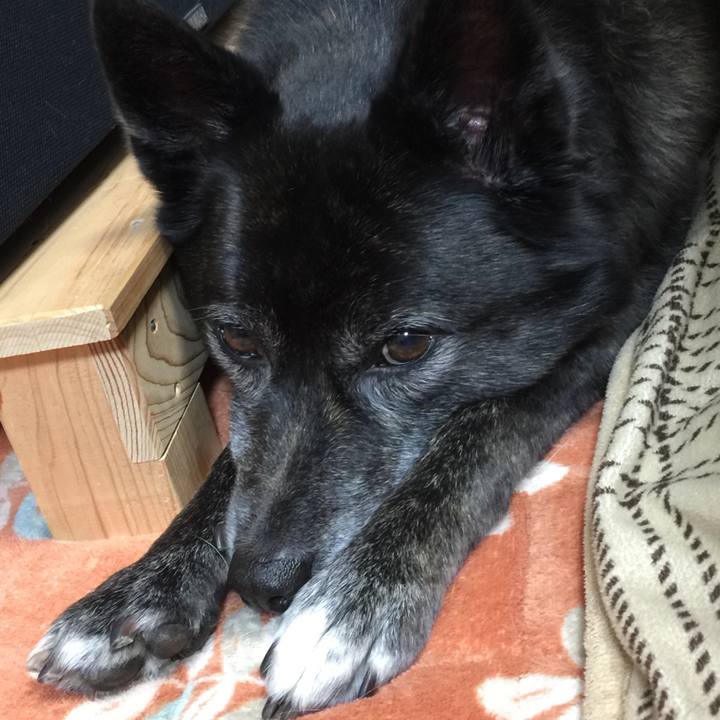 6cacf41f ff8e 4ec3 9afb 0b7aabf3cae8