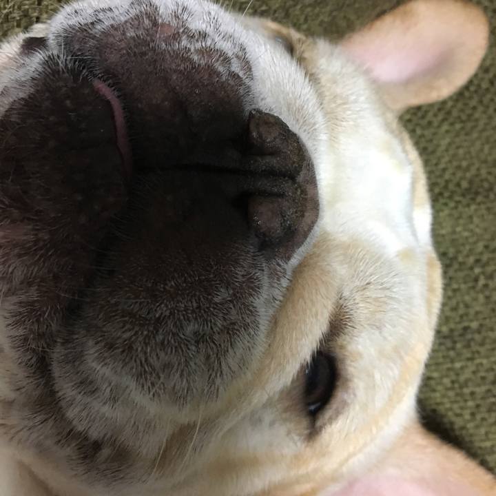 6cadf919 eae0 4ba3 9507 5a839716b154