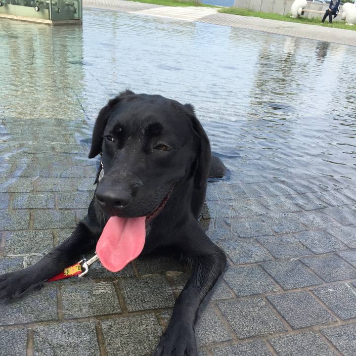 6caef639 c46d 400e a17b c4ee400a85c9