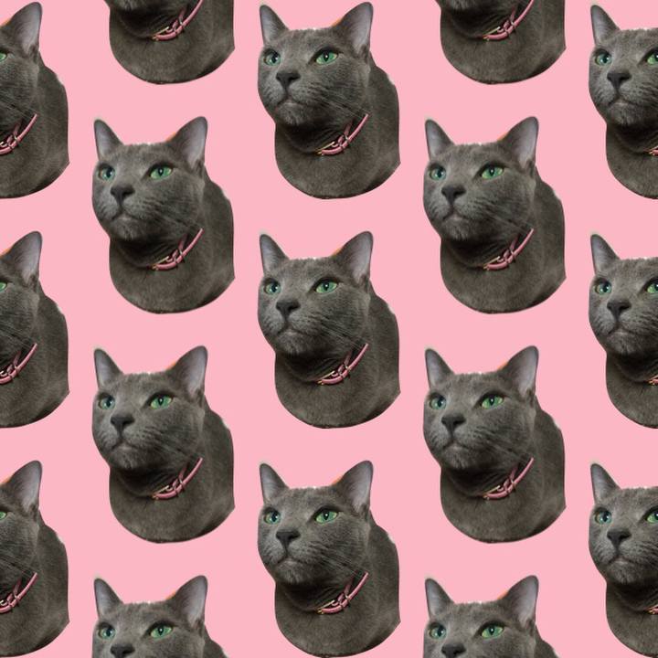 6caefd5b ae6d 4bd2 a0d5 b5a3282944c9