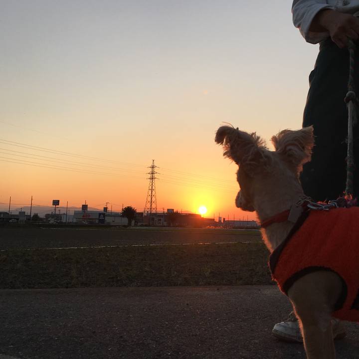 6caf6e12 4fd4 4734 986c f7fd7d3d0231